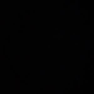 Meet your Posher, Isabella